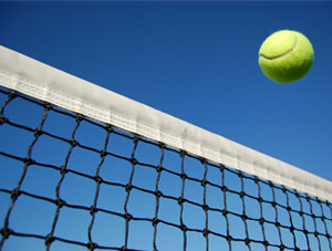 Ball and Net